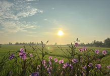 Chính sách mới về đất đai có hiệu lực từ ngày 01/7/2025