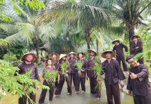 Cu chi Tunnels and Mekong delta homestay 2 days 1 night.